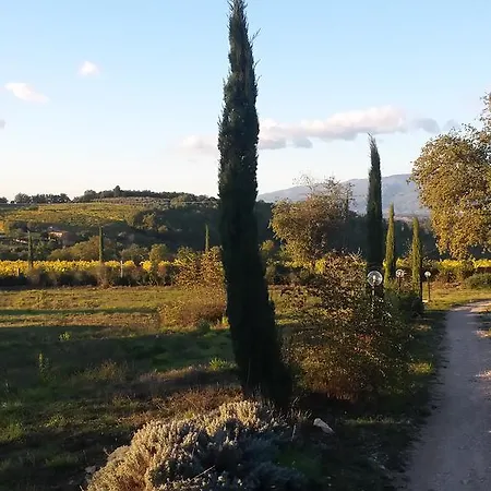 캠프장 Agricampeggio Madonna Di Pogi 부시네