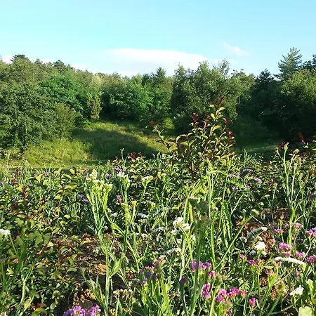 Agricampeggio Madonna Di Pogi 캠프장 부시네