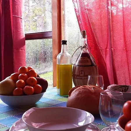 캠프장 Agricampeggio Madonna Di Pogi 부시네