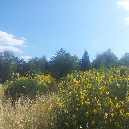 Agricampeggio Madonna Di Pogi 부시네